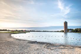 Al het officiele nieuws van hv aalsmeer. Things To Do In Aalsmeer In 12 Hours Visit Aalsmeer