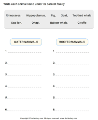Hints are given to help. Animals Classification Worksheet Turtle Diary