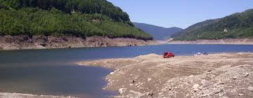 Persoanele cu handicap pot beneficia de: Plata Rovinietei Online Prin Sms Sau Prin Internet Banking Emilia V