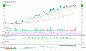 Bgl Stock Price And Chart Asx Bgl Tradingview