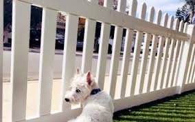 That's why we customize all our solutions. 2021 Average Invisible Dog Fence Cost With Price Factors