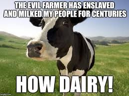 Cow The Evil Farmer Has Enslaved And Milked My People For Centuries How Dairy Image Tagged In Cow Memes Funny Bad Pun Made W Cows Funny Cow Puns Animals
