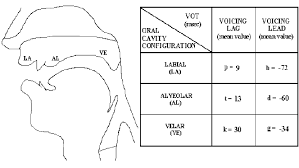 Dengue fever transmission has been cut by an incredible 77% in a real. Relationship Between Plosive Consonant Place Of Articulation And Vot In Download Scientific Diagram
