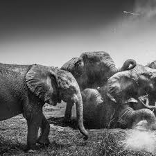 Im finally looking back