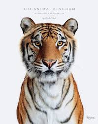 The louis vuitton brand and logo really stand out with this hardcover coffee table book from rizzoli! Animal Kingdom A Collection Of Portraits Rizzoli New York