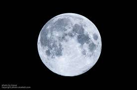 会社からの帰り道、主人公は大きな犬を轢いてしまう。 その瞬間、彼の頭の中に声が響いた。 ≪モンスターを討伐しました。 経験値を獲得しました≫ 「え？ å®Œå…¨ä¿å­˜ç‰ˆ æ‰‹æŒã¡ã®ã‚«ãƒ¡ãƒ©ã§æœˆã‚'ã‚­ãƒ¬ã‚¤ã«æ'®å½±ã™ã‚‹æ–¹æ³• æº€æœˆã‹ã‚‰ä¸‰æ—¥æœˆã¾ã§ Studio9