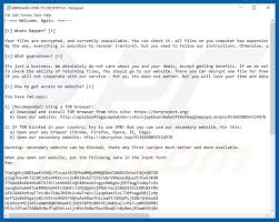 What the infected is about: How To Remove Sodinokibi Ransomware Virus Removal Steps Updated