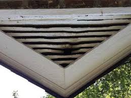 Gable vents serve the same purpose as roof vents and houses typically have two installed on either side of the roof gable. Memphis Rodent Proofing Gable Vents Animal Pros