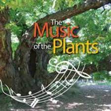 Share your videos with friends, family, and the world The Music Of The Plants By Silvia Buffagni Esperide Ananas 2014 Trade Paperback For Sale Online Ebay