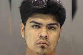 Brother faces manslaughter charge for accidentally shooting sister