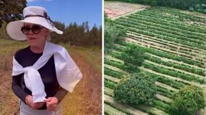Apresentadora mostra rotina em cafezal de sua fazenda no interior de SP
