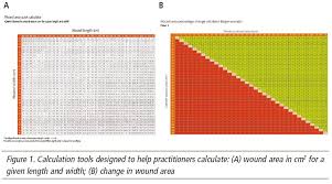 Challenging Wounds Improving Outcomes