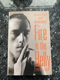 Fire in the Belly : The Life and Times of David Wojnarowicz by Cynthia  Carr... 9781596915336| eBay