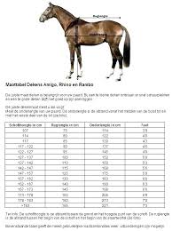 Horse Blanket Chart