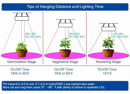 Light spectrum for growing plants. 11 Easy Guidelines To Know Before Buying Grow Lights