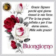 Pin Di Isabella Musco Su Buongiorno Buongiorno Buona Giornata Buona Notte