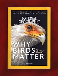 A fugue, and what it means to be lucky stella hayes: National Geographic Magazine January 2018 Why Birds Matter Jonathan Franzen Amazon Com Books