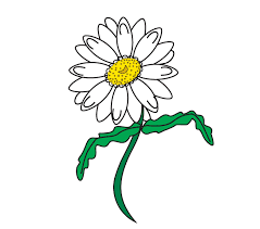 How To Draw A Daisy Easy Drawing Guides Step by step instructions to draw flowers. how to draw a daisy easy drawing guides