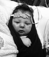 The Atler Perryman Foundation Inc.