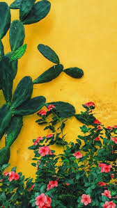 Android users need to check their android version as it may vary. Von Sperren Flower Wallpaper Aesthetic Iphone Wallpaper Art Wallpaper