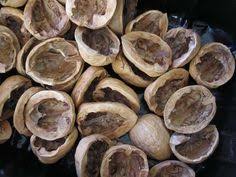 что можно сделать из скорлупы грецкого ореха своими руками Kak Sdelat Morilku Iz Skorlupy Greckogo Oreha S Izobrazheniyami Poleznye Sovety Morilka Sovety