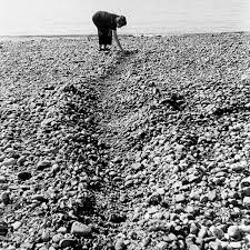 Bildergebnis für Maria Laet