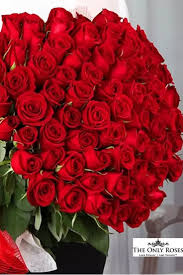 Floral composition with red, pink rose flower buds and leaves pattern texture on white surface. Long Stem Red Preserved Roses Luxury Bouquet In Glass Vase Rose Flower Wallpaper Red Rose Bouquet Luxury Bouquet