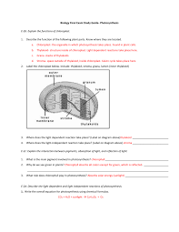 Plant cell organelles that can absorb solar energy. Final Exam Study Guide