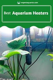 10 Best Aquarium Heater Reviews In 2020 Top Picks Guide In 2020 Aquarium Heater Aquarium Aquarium Maintenance