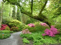 Clyne Gardens In Bloom Swansea South West Wales Uk Swansea Bay Wales Holiday Uk Beaches