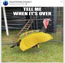 Pin By Ruth Blase On Good Morning Afternoon Night Funny Thanksgiving Taco Tuesday Meme What Do You Meme