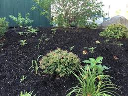 Check spelling or type a new query. How To Weed Your Garden Like A Pro Part I