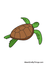 If you want to draw a turtle, it is worth considering the shape of its shell. Sea Turtle Drawing How To Draw A Sea Turtle Step By Step