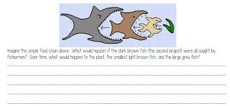 Add to my workbooks (10) download file pdf embed in my website or blog add to google classroom add to microsoft teams share through whatsapp. Web Quest Food Chains Food Webs Science With Mrs Barton