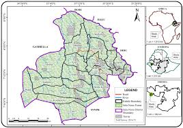 Image result for Embelia welwitschii