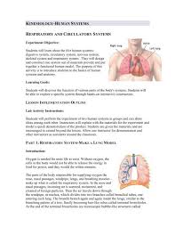 Kinesiology Human Systems Respiratory And Michelle Wang