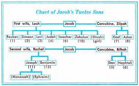 Chart Of Jacobs 12 Sons Bible Study Notebook Bible
