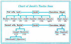 chart of jacobs 12 sons bible study notebook bible