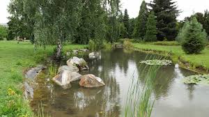 Der botanische garten düsseldorf liegt im süden von düsseldorf am himmelgeister rheinbogen. Bemerkenswelt