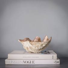 Maybe you would like to learn more about one of these? Faux Clam Shell With Pearl Or Champagne Interior Finish By Cowshed Interiors Notonthehighstreet Com
