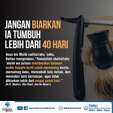 Bulu Kemaluan Https Konsultasisyariah Com 7757 Mencukur Bulu Kemaluan Html Kutipan Pelajaran Hidup Motivasi Kutipan Pengetahuan