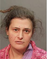 ᐅ Illinois Criminal Records 2009-2025