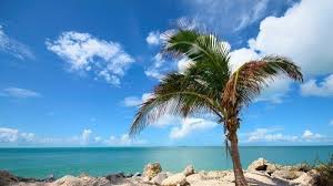 Florida Keys Climate By Month | A Year-Round Guide
