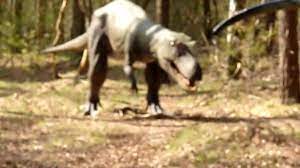 Je hoeft helemaal niet netjes over de bezoekerspaden te lopen. Rondtour Dinobos Dierenpark Amersfoort Youtube