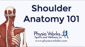 This expansion in size leaves too little room for movement, which causes pinching. Rotator Cuff Tears Is Physical Therapy The Fix You Need