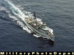 Image result for Gray 1983 Fleet