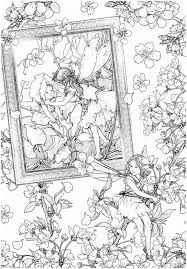 Coloring Page Flower Fairies Download In 2020 Fairy Coloring Book Fairy Coloring Coloring Pages