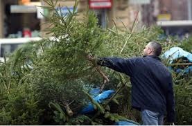 Die besten weihnachtsbäume im vergleich. Sammelplatze In Esslingen Hier Kann Man Den Christbaum Abgeben Landkreis Esslingen Stuttgarter Zeitung