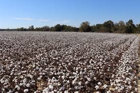 Lindsay Releases MAXfield GPS Guidance