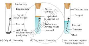 What Is Meant By Rusting Of Iron With The Help Of Labelled Diagrams Describe An Activity To Find Out The Conditions Under Which Iron Rusts Science Shaalaa Com
